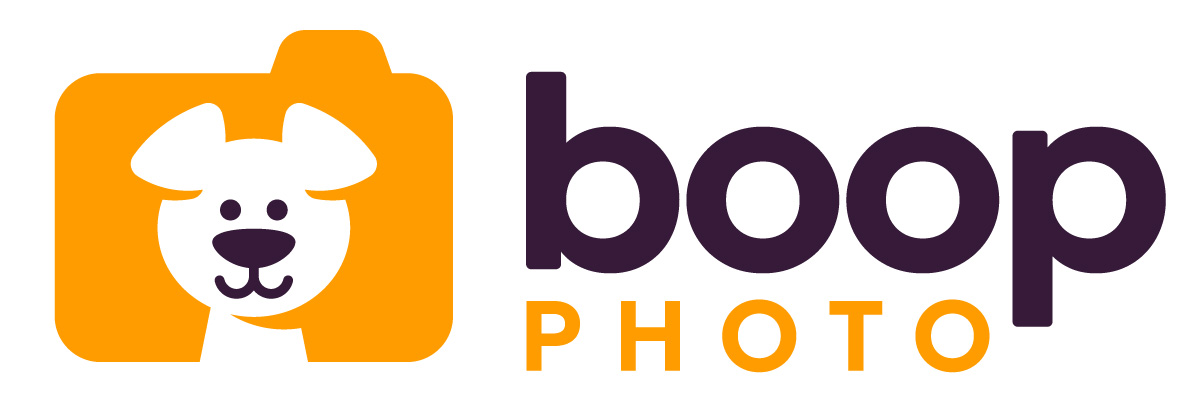 logo image