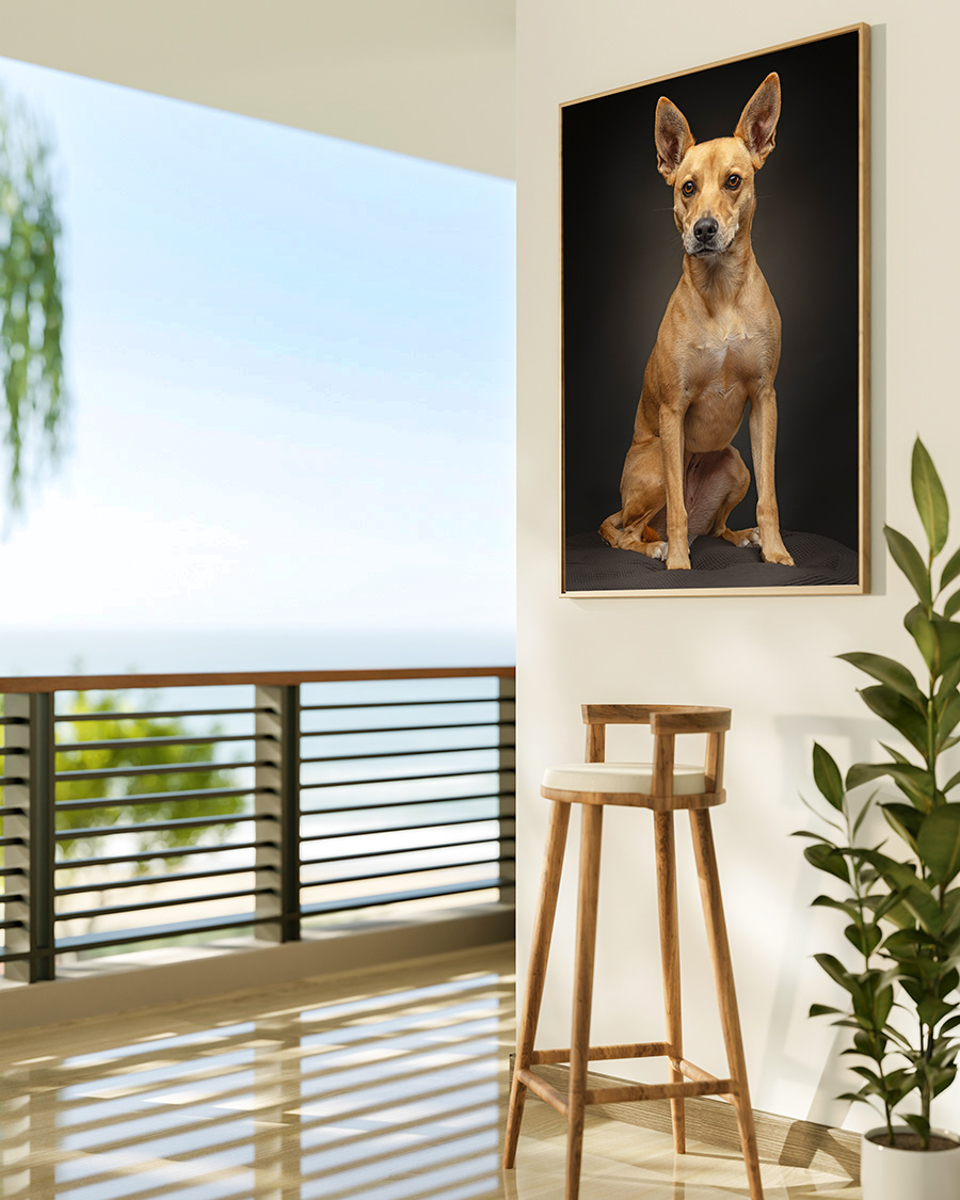 Placeholder Image